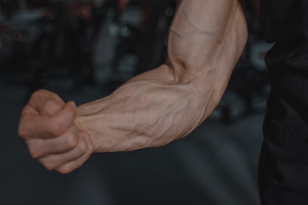 forearm workout