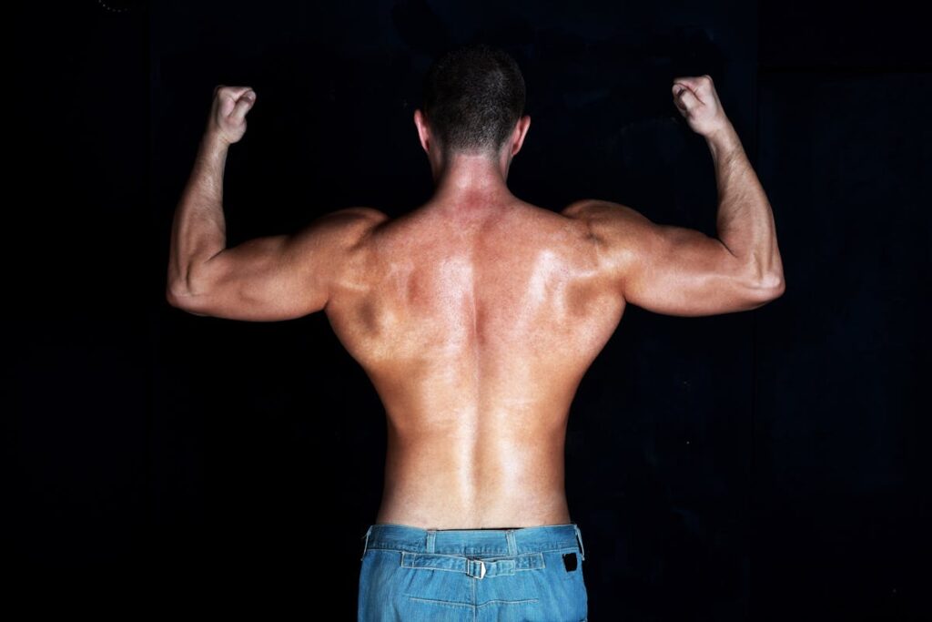 bodyweight back exercises