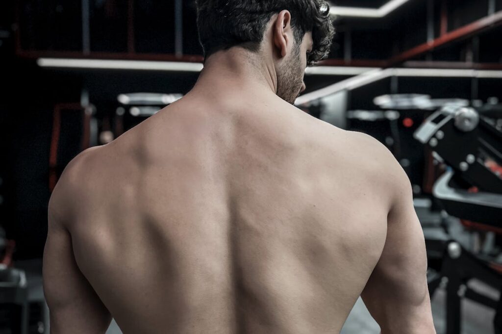 bodyweight back exercises